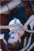 zzz13
