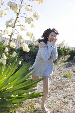 香草视频在线观看视频在线播放